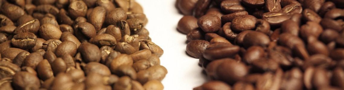 У чому відмінність кави арабіки та робусти?