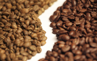 У чому відмінність кави арабіки та робусти?